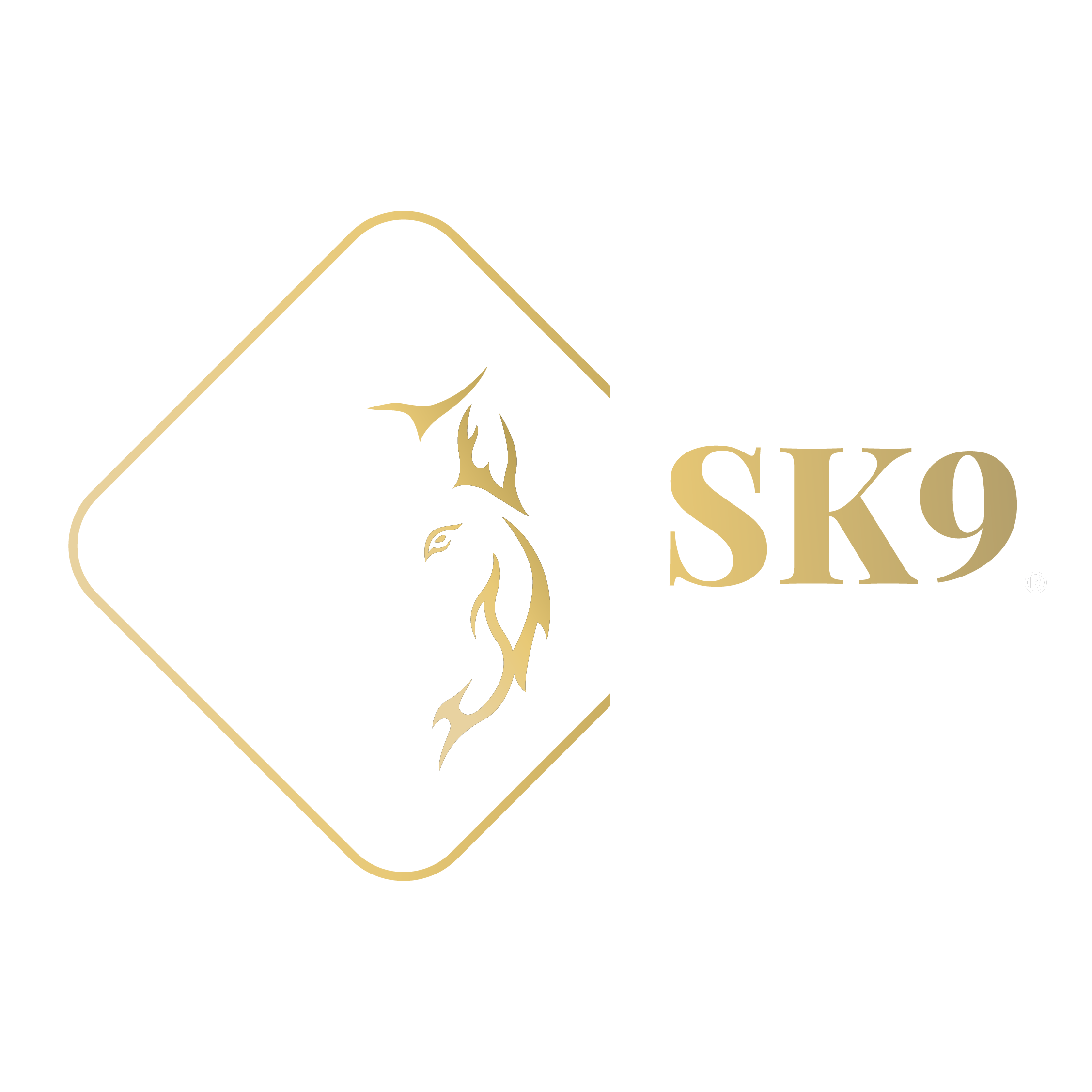 SK9 Training World
